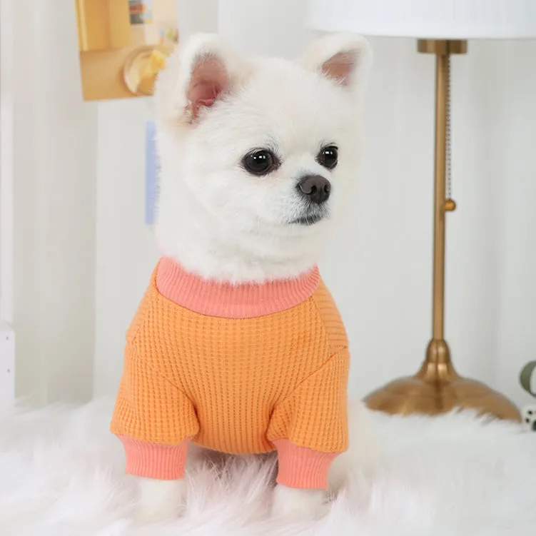 R logo Dogs Clothes Waffle patterned Casual Cute Comfortable Clothing Korean Designers Apparel Outfits Bright Colours Pets